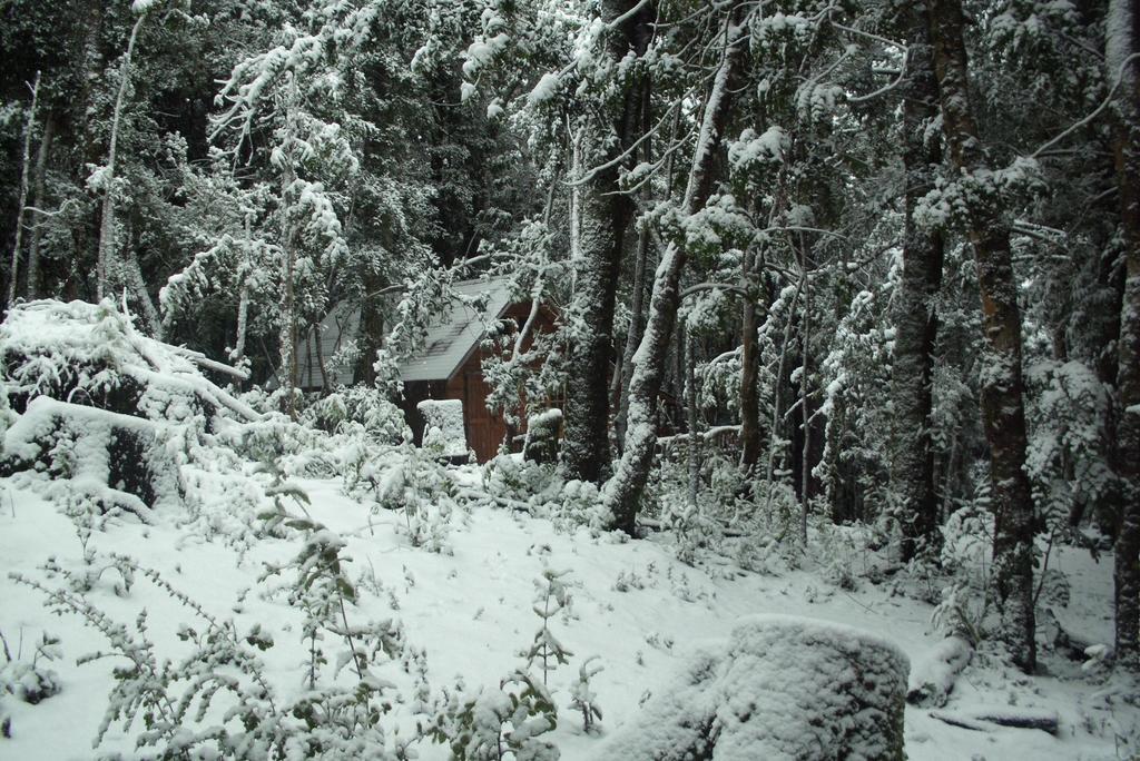 Cabana Rustica Patagonia Chilena Коньярипе Номер фото
